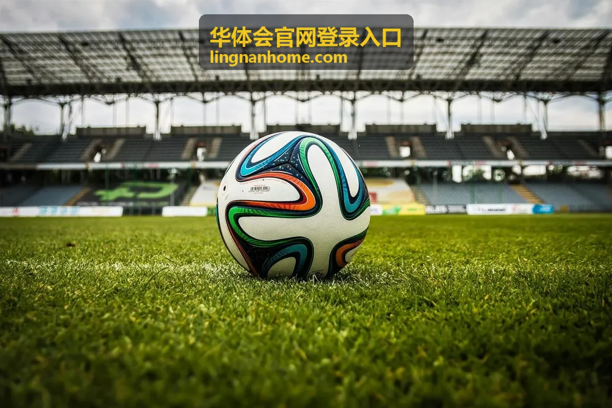 华体会官网登录入口浏览器设置检查封面