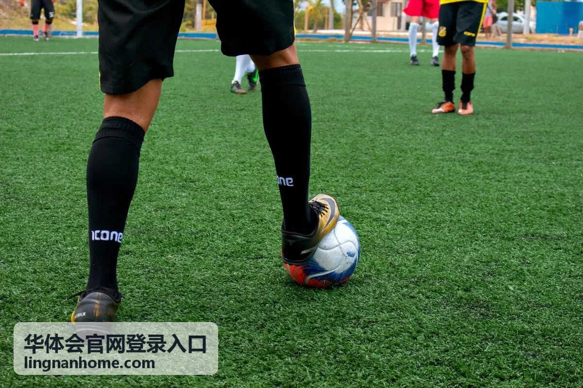华体会官网登录入口页面在桌面端的显示效果