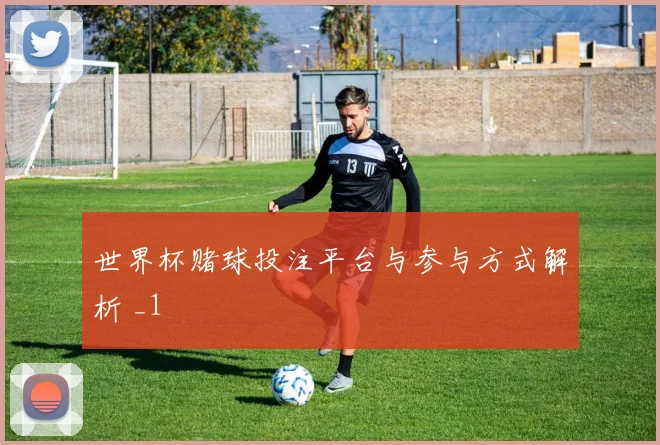 世界杯赌球投注平台与参与方式解析 _1