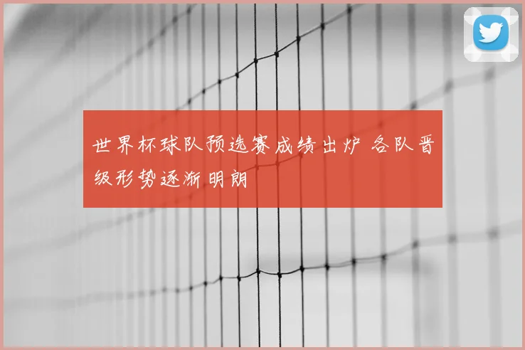 世界杯球队预选赛成绩出炉 各队晋级形势逐渐明朗