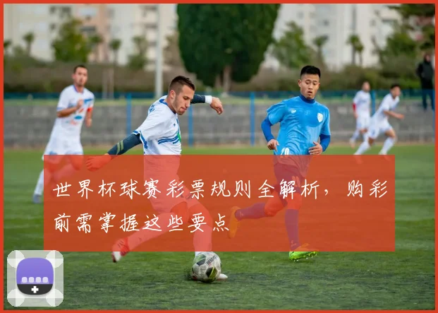 世界杯球赛彩票规则全解析，购彩前需掌握这些要点