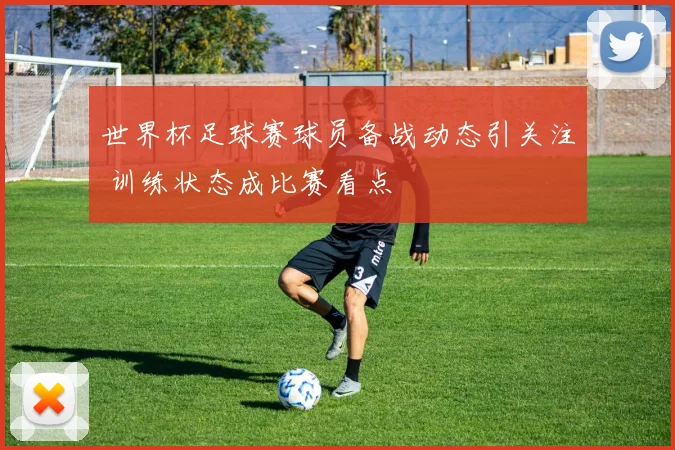 世界杯足球赛球员备战动态引关注 训练状态成比赛看点