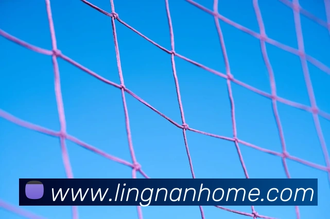 世界杯app官网平台生态图