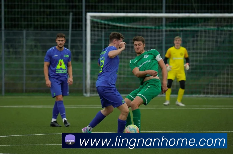 世界杯app官网全站App